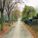 Cimetière protestant de Mulhouse : allée