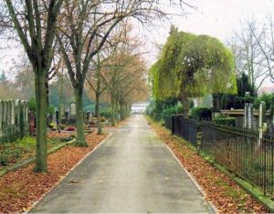 Cimetière protestant de Mulhouse : allée